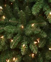 National Tree Company 7.5' Power Connect Kings Wood Fir Tree with Light Parade Led Lights