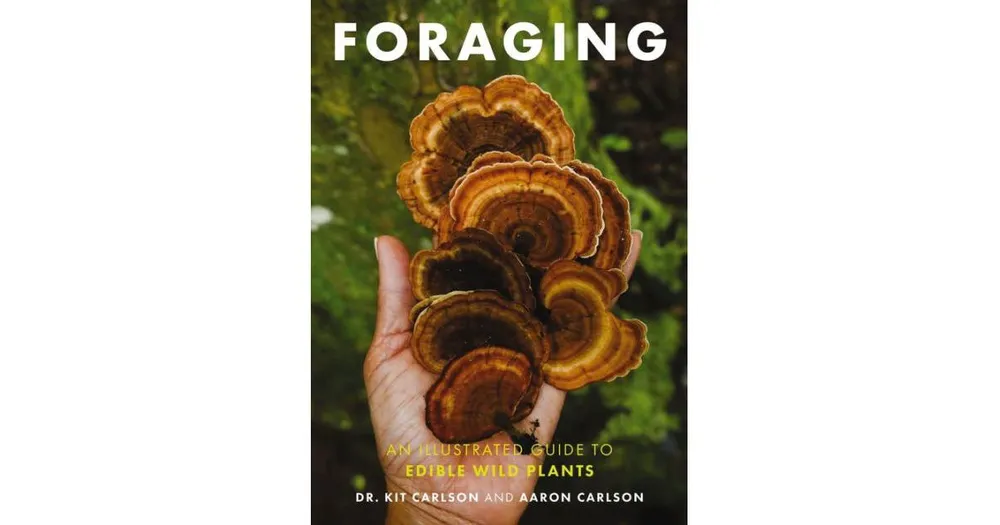 Foraging