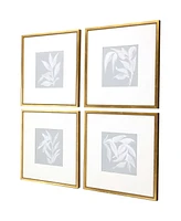 Leaf Study Framed Art, Set of 4