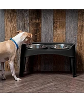 Iris Large Pet Plastic Elevated Feeder, Black