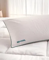 IsoCool Serene Foam Traditional Pillow, Standard/Queen