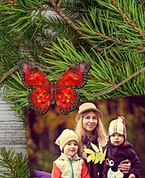 Designocracy Holiday Wooden Clip-On Ornaments Butterfly Set of 6 G. DeBrekht