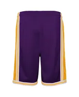 Big Boys Mitchell & Ness Purple Los Angeles Lakers Hardwood Classics Swingman Shorts