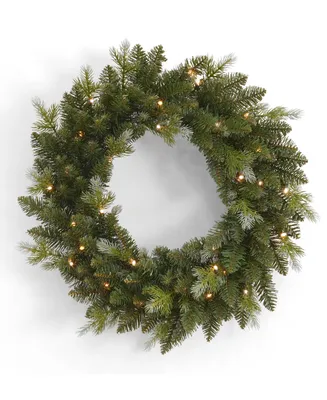 Seasonal The Bluffton 24" Pe, Pvc Wreath, 175 Tips, 35 Rgb Lights with Remote