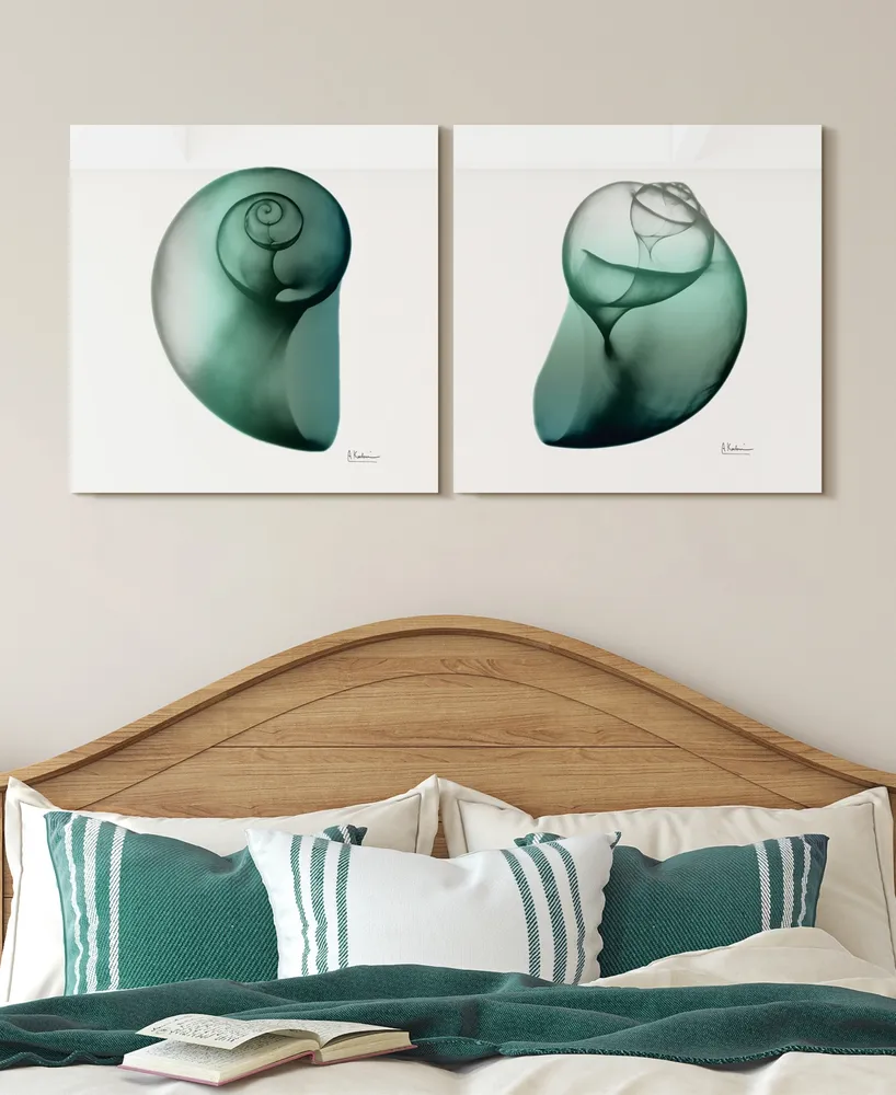 Empire Art Direct Shimmering Snail I Ii Frameless Free Floating Tempered Glass Panel Graphic Wall Art, 24" x 24" x 0.2" Each