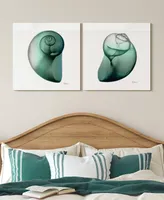 Empire Art Direct Shimmering Snail I Ii Frameless Free Floating Tempered Glass Panel Graphic Wall Art, 24" x 24" x 0.2" Each