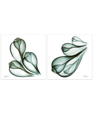 Empire Art Direct Coastal Serenity I Ii Frameless Free Floating Tempered Glass Panel Graphic Wall Art, 24" x 24" x 0.2" Each
