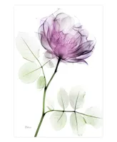 Empire Art Direct "Rose Dynasty 1" Frameless Free Floating Tempered Glass Panel Graphic Wall Art, 48" x 32" x 0.2"