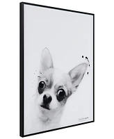 Empire Art Direct "Chihuahua" Pet Paintings on Printed Glass Encased with A Black Anodized Frame, 24" x 18" x 1"