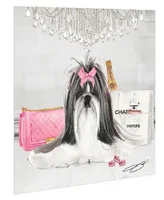 Empire Art Direct "Pink Shih Tzu" Unframed Free Floating Tempered Glass Panel Graphic Dog Wall Art Print 20" x 20" , 20" x 20" x 0.2" - Multi