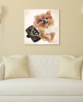 Empire Art Direct "Pomeranian" Unrameled Free Floating Tempered Glass Panel Graphic Dog Wall Art Print 20" x 20", 20" x 20" x 0.2" - Multi