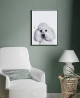 Empire Art Direct "Poodle" Pet Paintings on Printed Glass Encased with A Black Anodized Frame, 24" x 18" x 1"