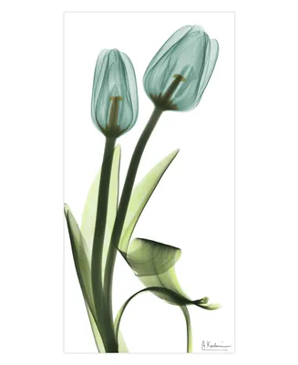 Empire Art Direct "Blue Tulips" Frameless Free Floating Tempered Glass Panel Graphic Wall Art, 48" x 24" x 0.2"
