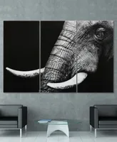 Empire Art Direct "Elephant Abc" Frameless Free Floating Tempered Glass Panel Graphic Wall Art Set of 3, 72" x 36" x 0.2" Each