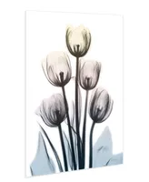 Empire Art Direct "Springing TuLIps" Frameless Free Floating Tempered Glass Panel Graphic Wall Art, 48" x 32" x 0.2" - Multi