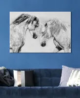 Empire Art Direct "Caballo Blanco Equine" Frameless Free Floating Tempered Glass Panel Graphic Wall Art, 32" x 48" x 0.2"