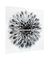Empire Art Direct "Dahlia Ab" Frameless Free Floating Tempered Glass Panel Graphic Wall Art Set of 2, 72" x 36" x 0.2" Each