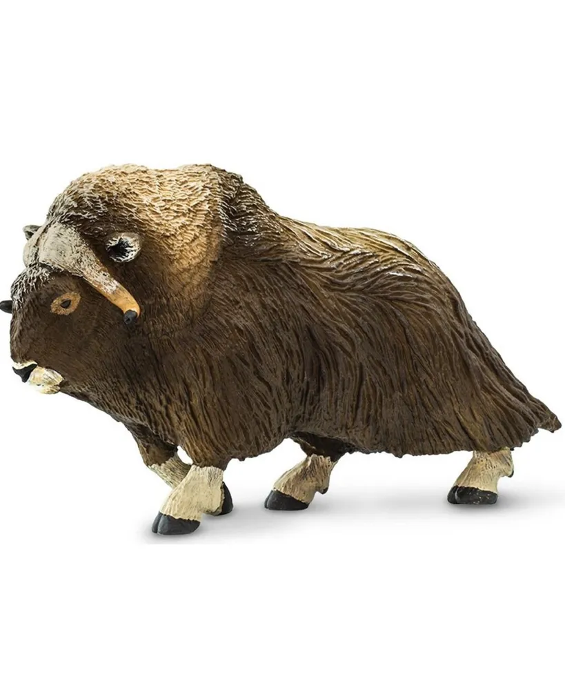 Safari Ltd Muskox Figure