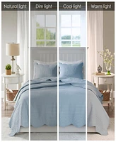Madison Park Tuscany 3-Pc. Quilt Set