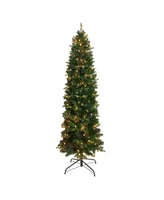 Kurt Adler 6' Pre-lit Led Studio Spruce Tree