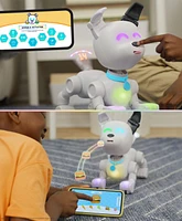 MintID Dog-e Interactive Robot Dog