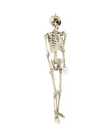 Life Size Skeleton Halloween Decoration, 5'