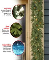 National Tree Company 9' x 10" Wispy Willow Garland with 50 Clear Lights