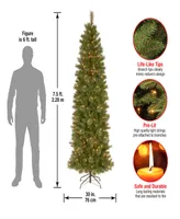 National Tree Tacoma Pine Pencil Slim With 350 Clear Lights