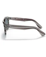 Ray-Ban Unisex Orion Reloaded Sunglasses, RB2199