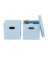 Premium Storage Bins with Lids, Set of 2