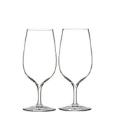 Waterford Elegance Water Glass, Set of 2