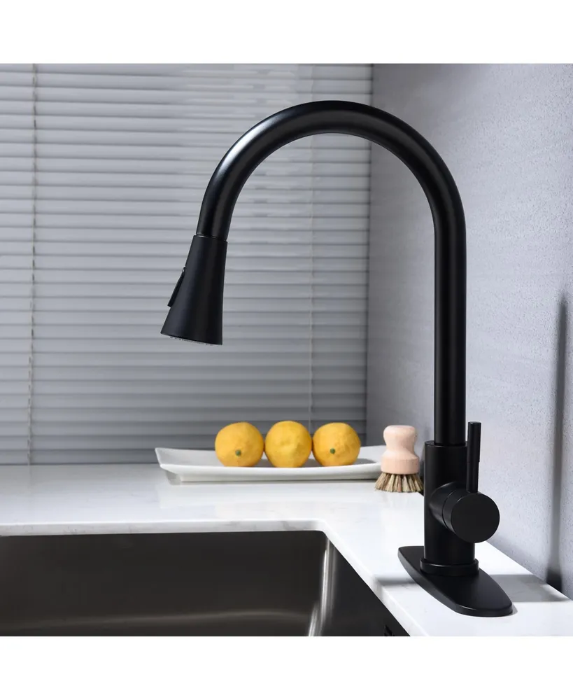 Simplie Fun Kitchen Faucet With Pull Out Sprayer