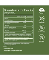 Gaia Herbs Adrenal Health Daily Support - With Ashwagandha, Holy Basil & Schisandra