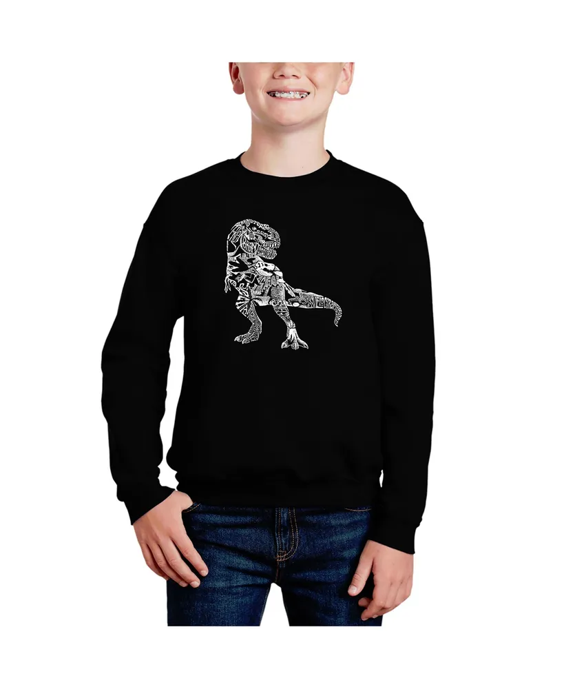 Dino Pics - Big Boy's Word Art Crewneck Sweatshirt