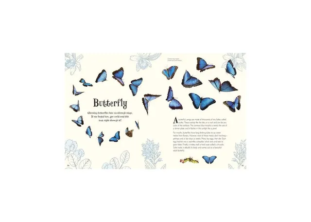 The Bees, Birds & Butterflies Sticker Anthology by DK