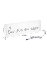 La Vie En Rose Contemporary Glam Acrylic Box Usb Operated Led Neon Light