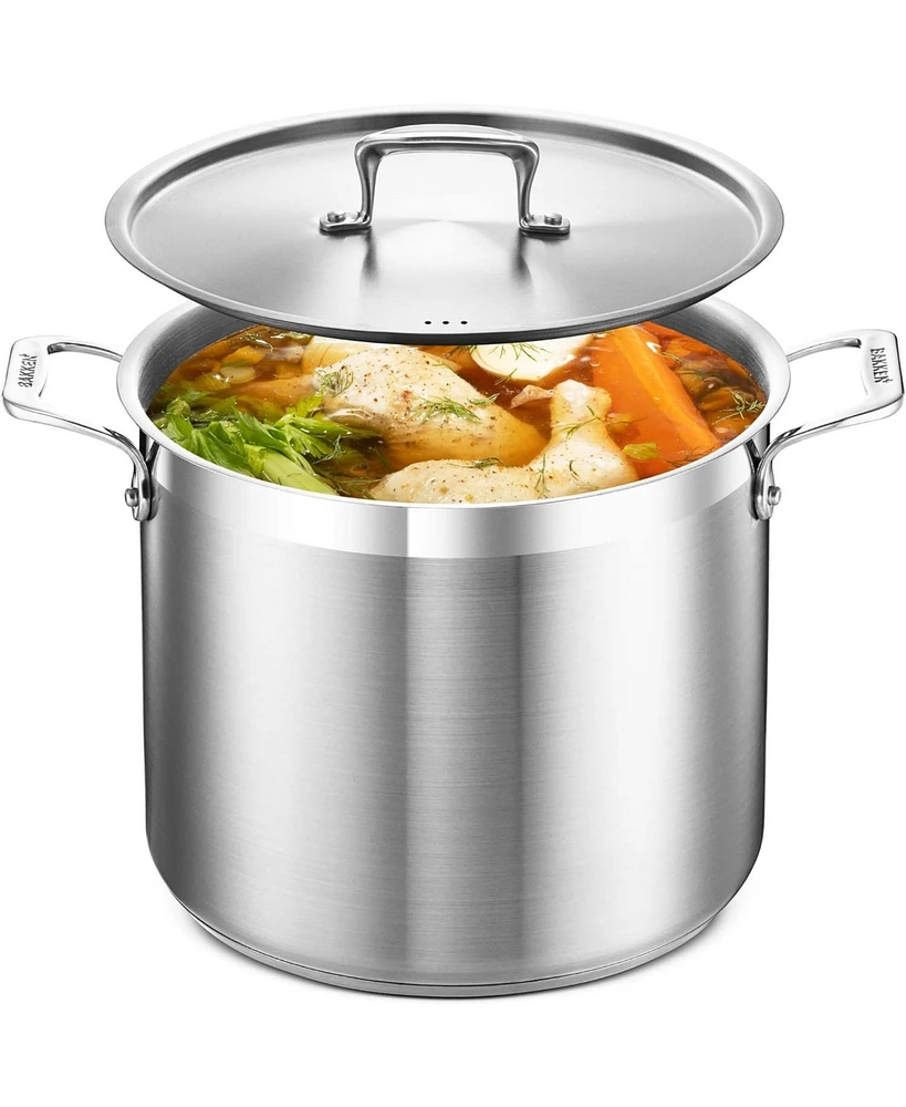 Bakken Swiss Quart Stockpot, Brushed Stainless Steel, Heavy Duty Induction Pot with Lid & Riveted Handles – Ideal for Soup, Seafood, Stock, Can