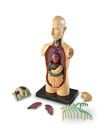 Learning Resources Human Body Anatomy Model