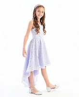 Rare Editions Big Girls Sequin Lace Party Dress