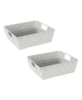 Simplify 2 Pack Storage Shelf Tote