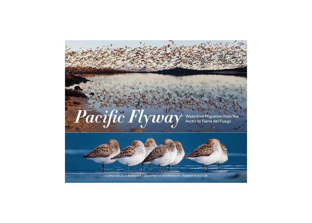 Pacific Flyway, Waterbird Migration from the Arctic to Tierra del Fuego by Audrey DeLella Benedict