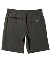 Quiksilver Waterman Men's Suva Amphibian 20" Hybrid Shorts