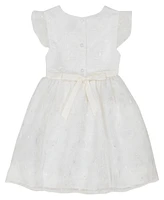 Blueberi Boulevard Toddler Girls Organza Embroidered Flutter Sleeve Fit-and-Flare Dress