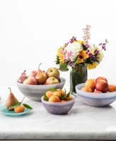 Fortessa La Jolla Glass Dinnerware Collection