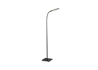 Tt-DL072 Led Floor Lamp Black Us Standard