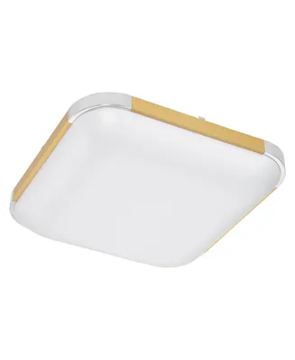 24W 18" Dimmable Led Ceiling Light Fixture Flush Mount Lamp with Remote Bedroom