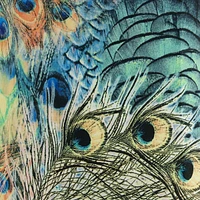 Peacock Print Medium Drum Lamp Shade 14" Top x 16" Bottom x 11" Slant (Spider) Replacement with Harp and Finial - Springcrest