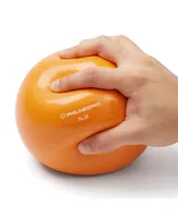 Philosophy Gym Toning Ball, Lb