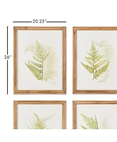 Framed Fern Study, Set Of 6