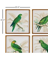 Green Parrots Study Set of 4 Wall Art